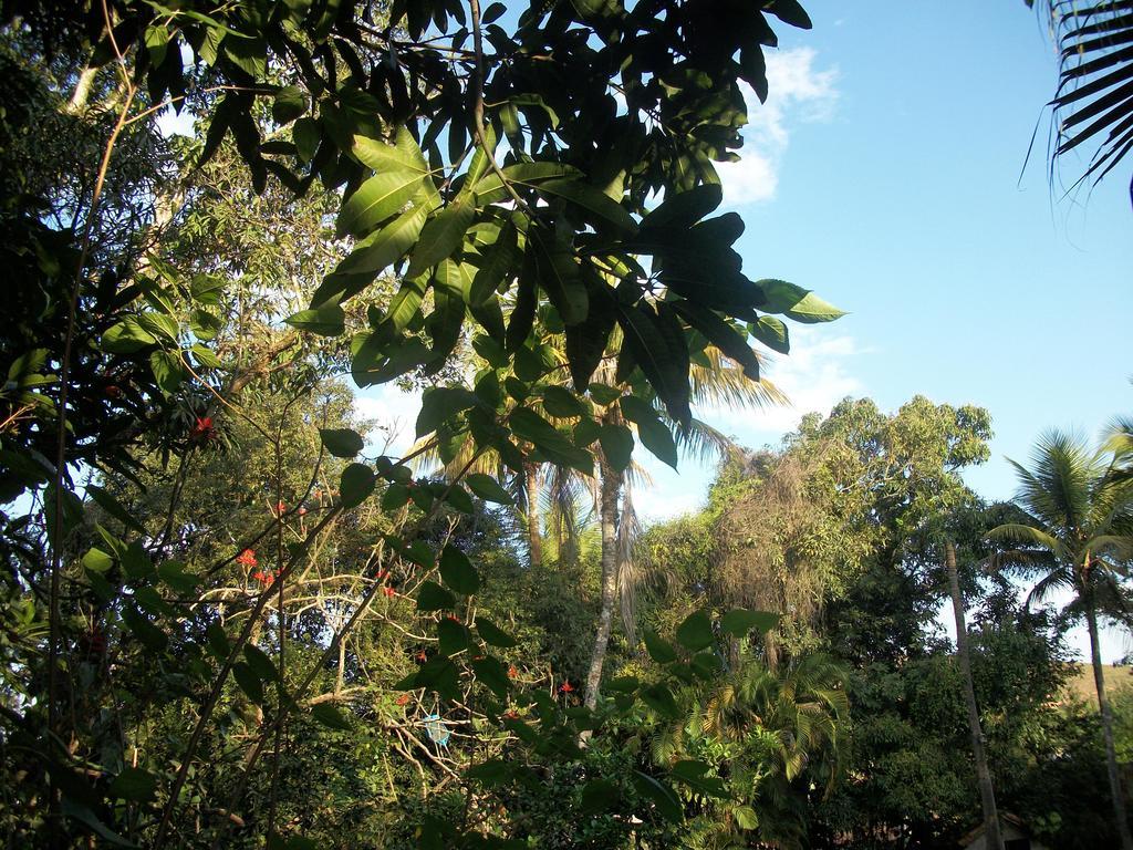 Pousada Ypê Amarelo Itatiaia  Chambre photo